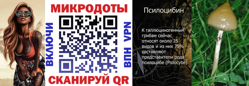 Псилоцибиновые грибы Psilocybine cubensis  Монино 
